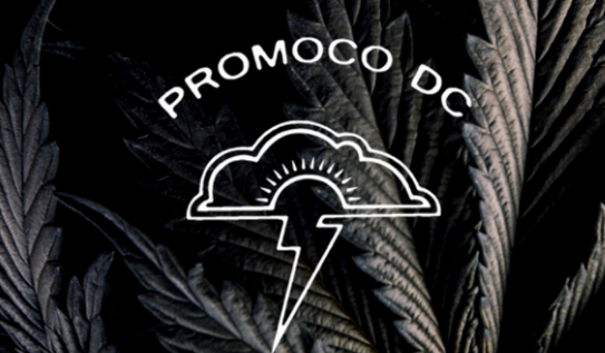 Promoco DC: Weed & Shroom Delivery