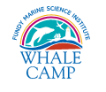 The Whale Camp, Inc